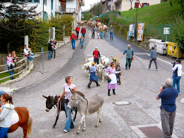 DESMONTEGADA A SACCONE