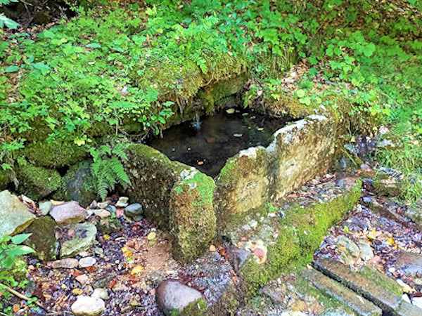 MONTE BALDO SORGENTE ALBI