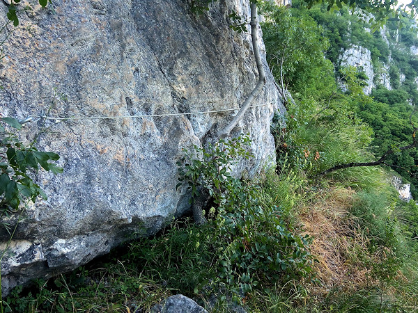 CORDINO DI SICUREZZA