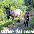 SENTER DEI ASENI MONTE BALDO